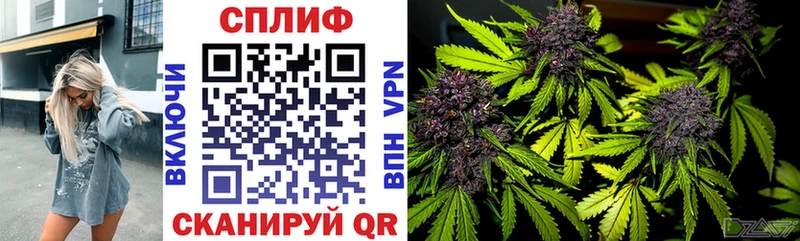 Купить наркотики сайты Бахчисарай кракен ссылки  Меф  ГАШ  Cocaine 