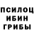 Псилоцибиновые грибы Cubensis Amangul Kasymova