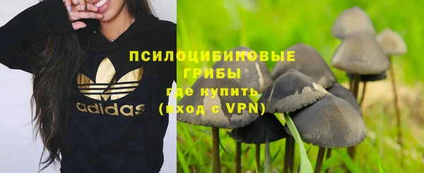 мет Сатка