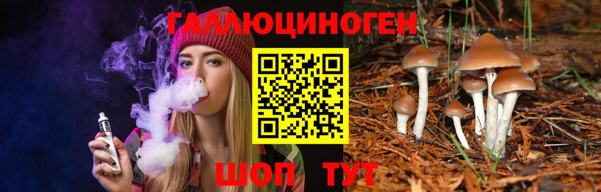 Бахчисарай  Галлюциногенные грибы Psilocybe  Вход с VPN 