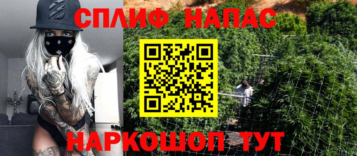 Бахчисарай  Каннабис сатива  Вход с VPN  Марихуана ГИДРОПОН  Шишки марихуана тримм 